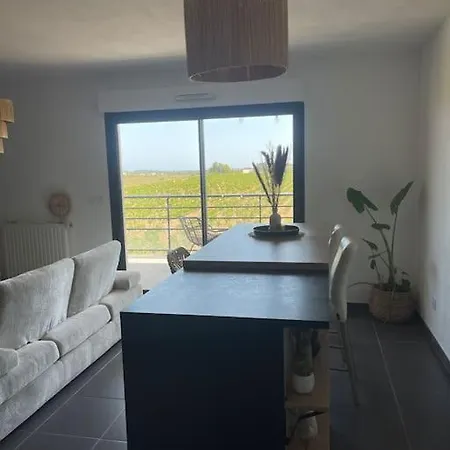 Vue Vigne Perpiñán
