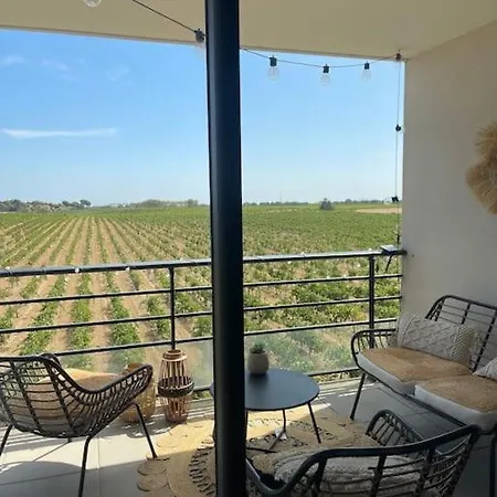 Vue Vigne Apartamento Perpiñán