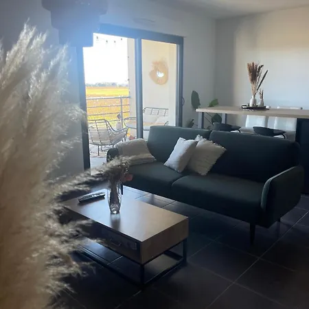 Appartement Vue Vigne Perpignan