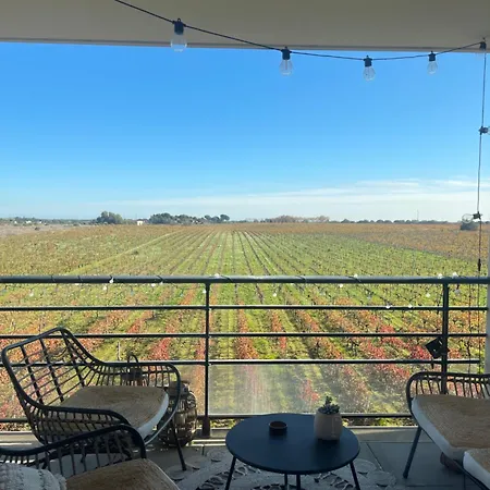 Vue Vigne * Perpignan