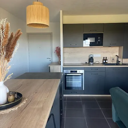 Vue Vigne Appartement Perpignan
