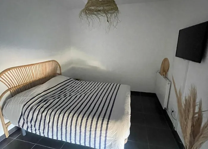 Appartement Vue Vigne Perpignan