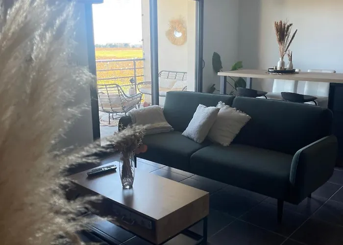 Appartement Vue Vigne Perpignan