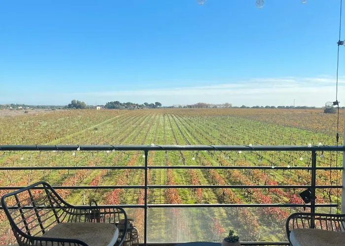 Vue Vigne * Perpignan