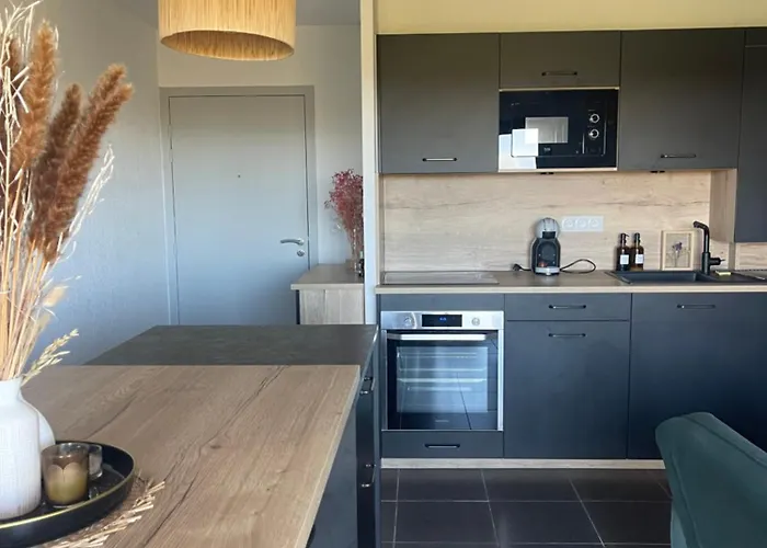 Vue Vigne Appartement Perpignan